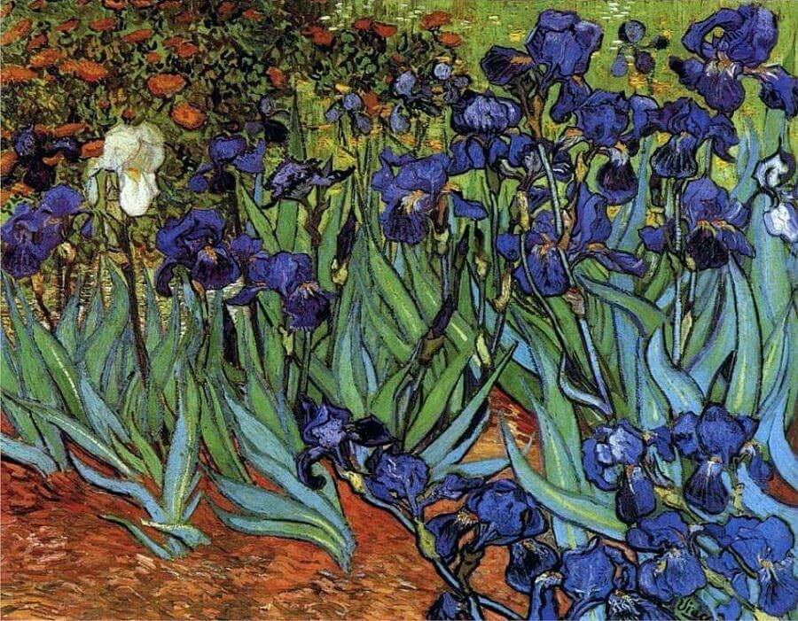 history on vincent van gogh 